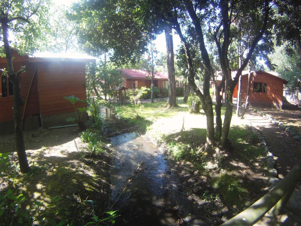 Cabanas Santa Maria Пукон Екстер'єр фото